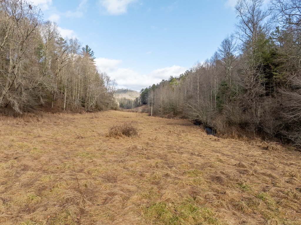 TR 3B Wolf Pen Gap Road