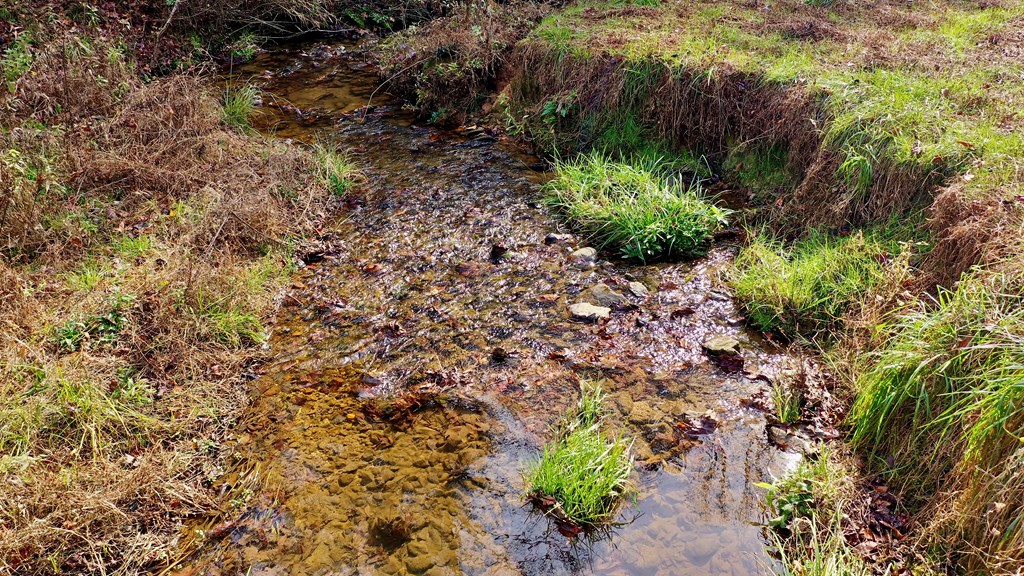 TR 3B Wolf Pen Gap Road