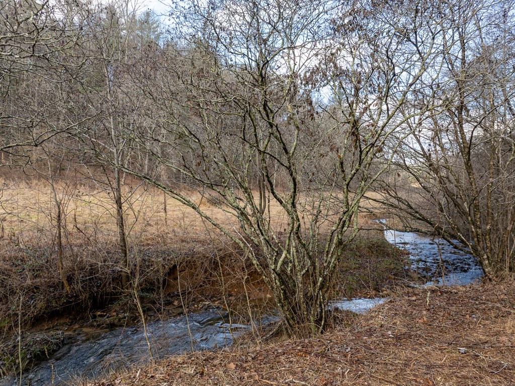 TR 3B Wolf Pen Gap Road