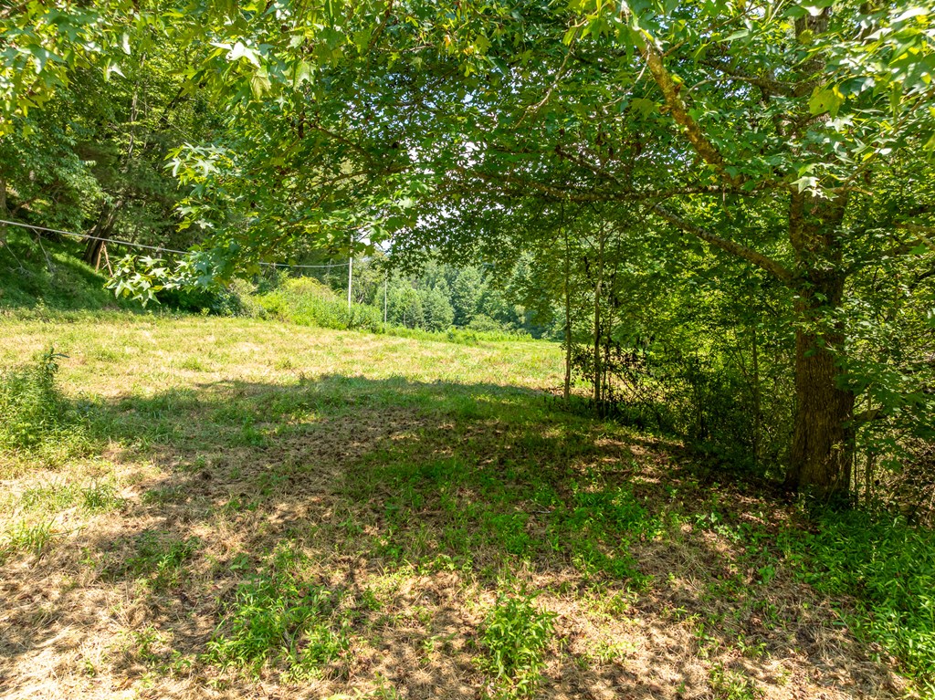 TR 3B Wolf Pen Gap Road