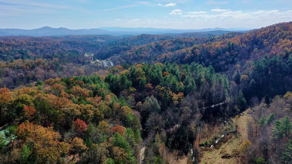 TR 3B Wolf Pen Gap Road