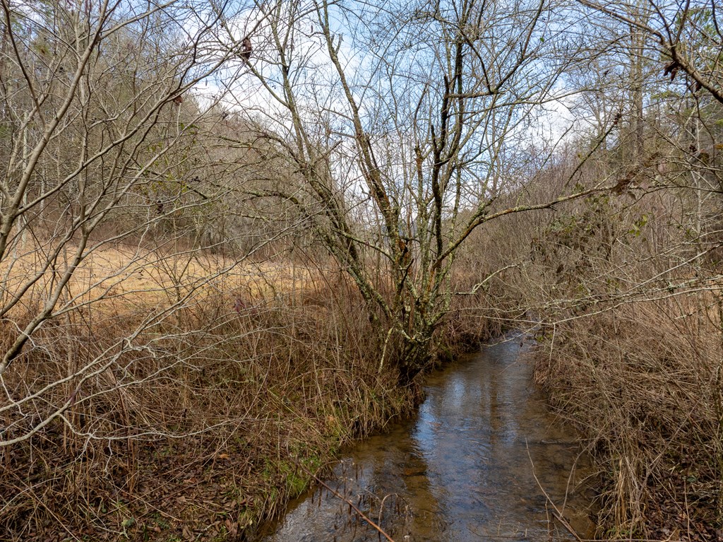 TR 3B Wolf Pen Gap Road