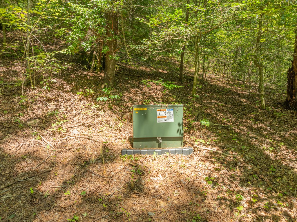 TR 3B Wolf Pen Gap Road