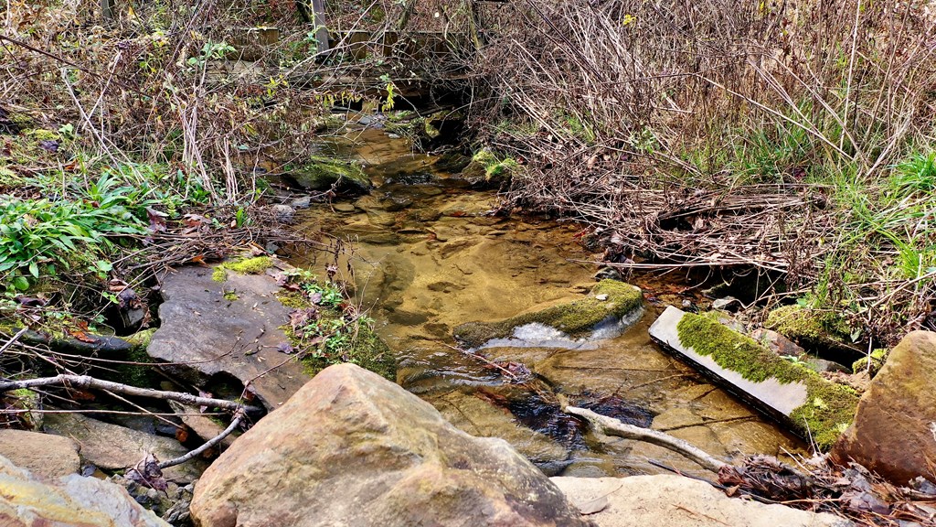 TR 3B Wolf Pen Gap Road