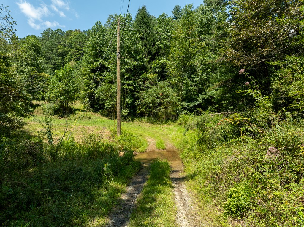 TR 3B Wolf Pen Gap Road