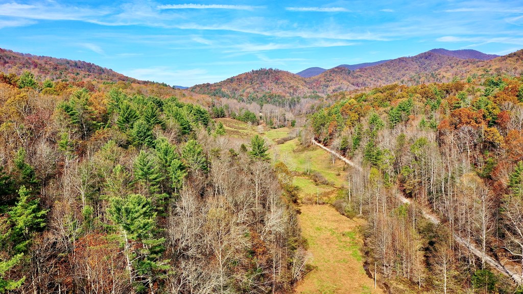 TR 3B Wolf Pen Gap Road