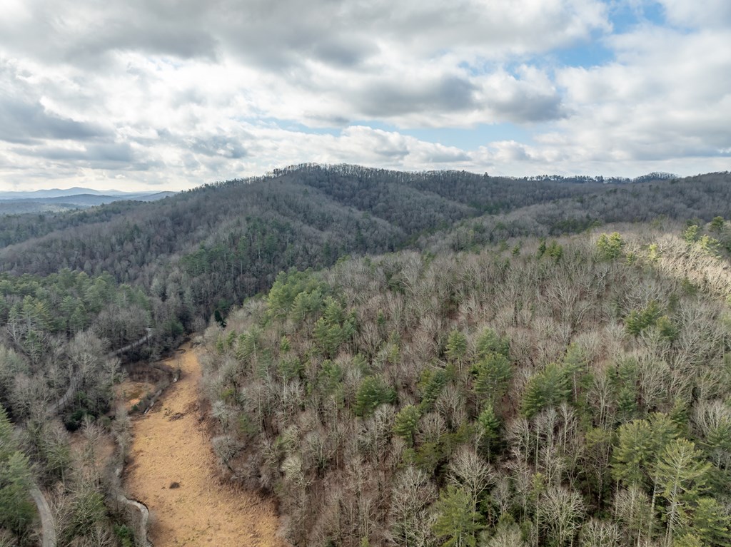 TR 3B Wolf Pen Gap Road