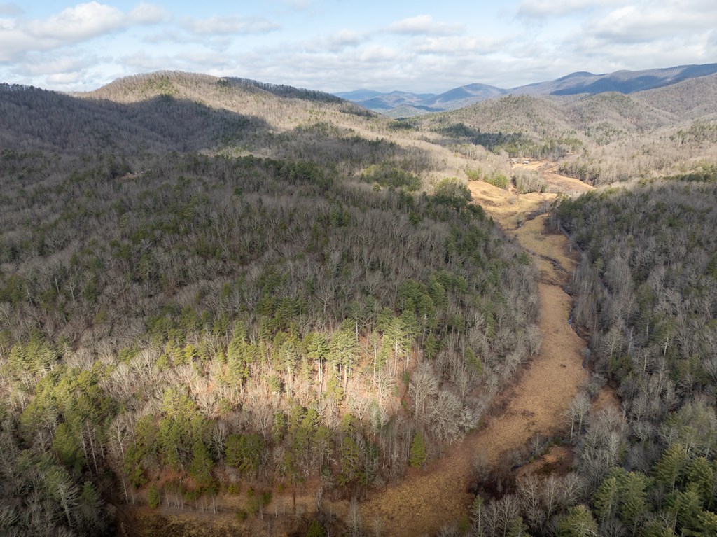 TR 3B Wolf Pen Gap Road