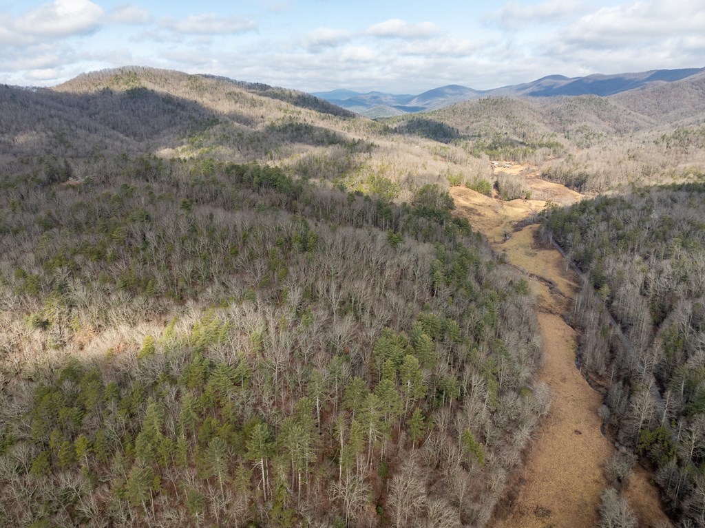 TR 3B Wolf Pen Gap Road