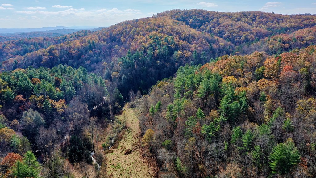 TR 3B Wolf Pen Gap Road