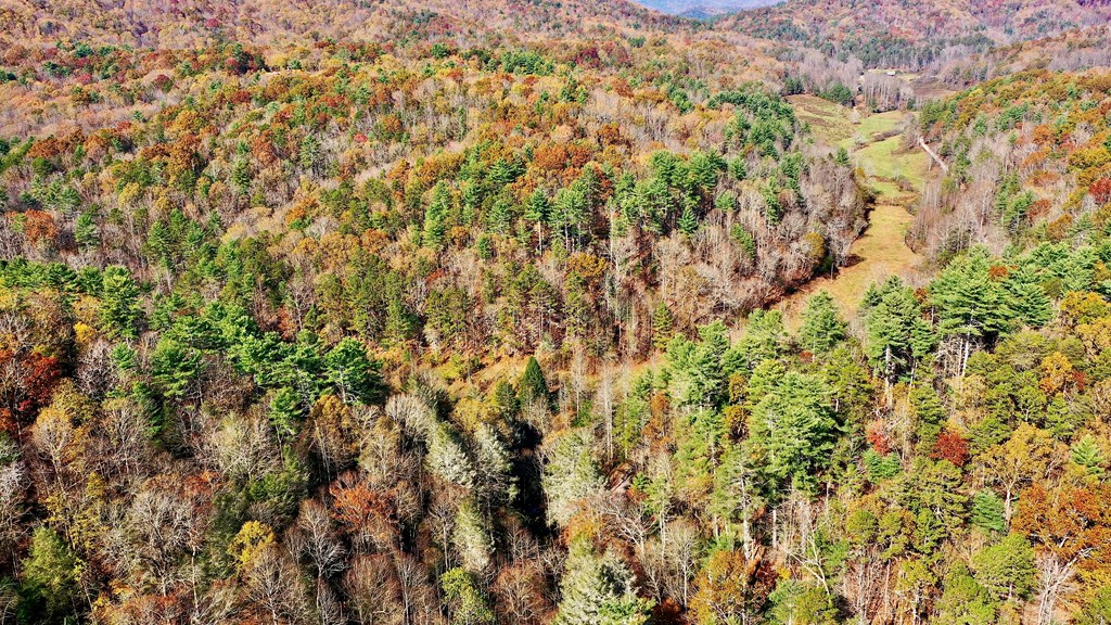 TR 3B Wolf Pen Gap Road