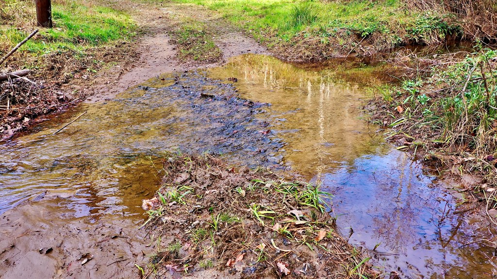 TR 3B Wolf Pen Gap Road