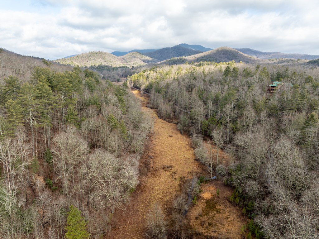 TR 3B Wolf Pen Gap Road