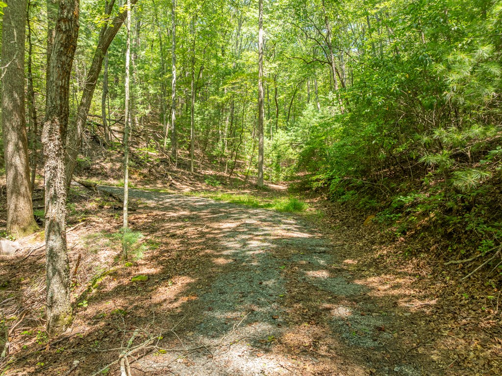 TR 3B Wolf Pen Gap Road