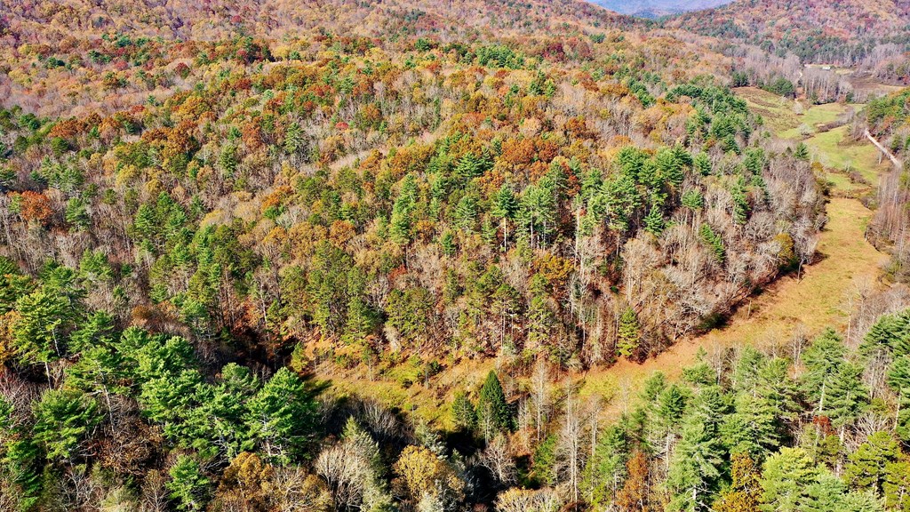 TR 3B Wolf Pen Gap Road