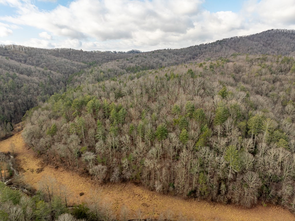 TR 3B Wolf Pen Gap Road