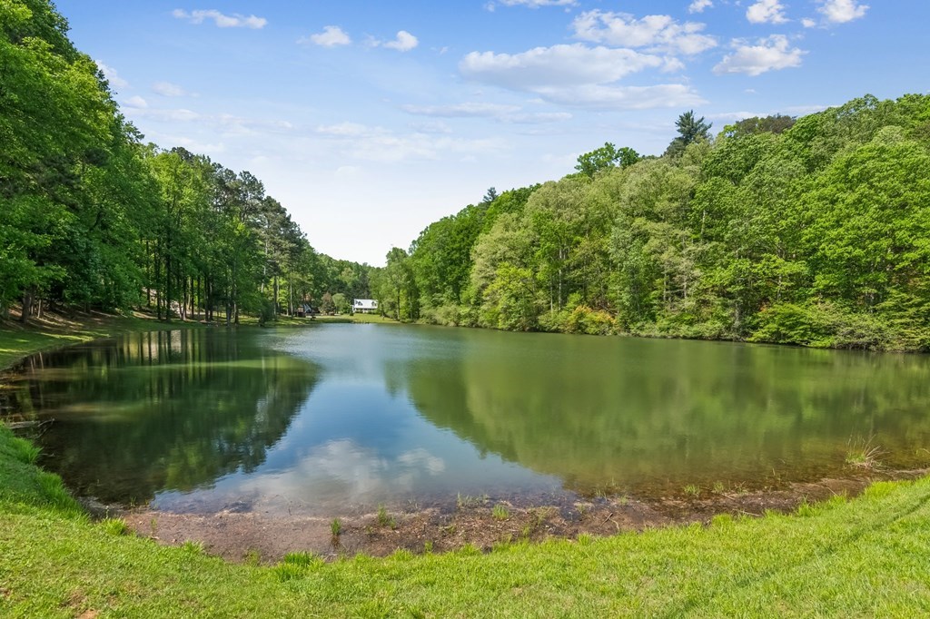 245 Timberwalk Drive