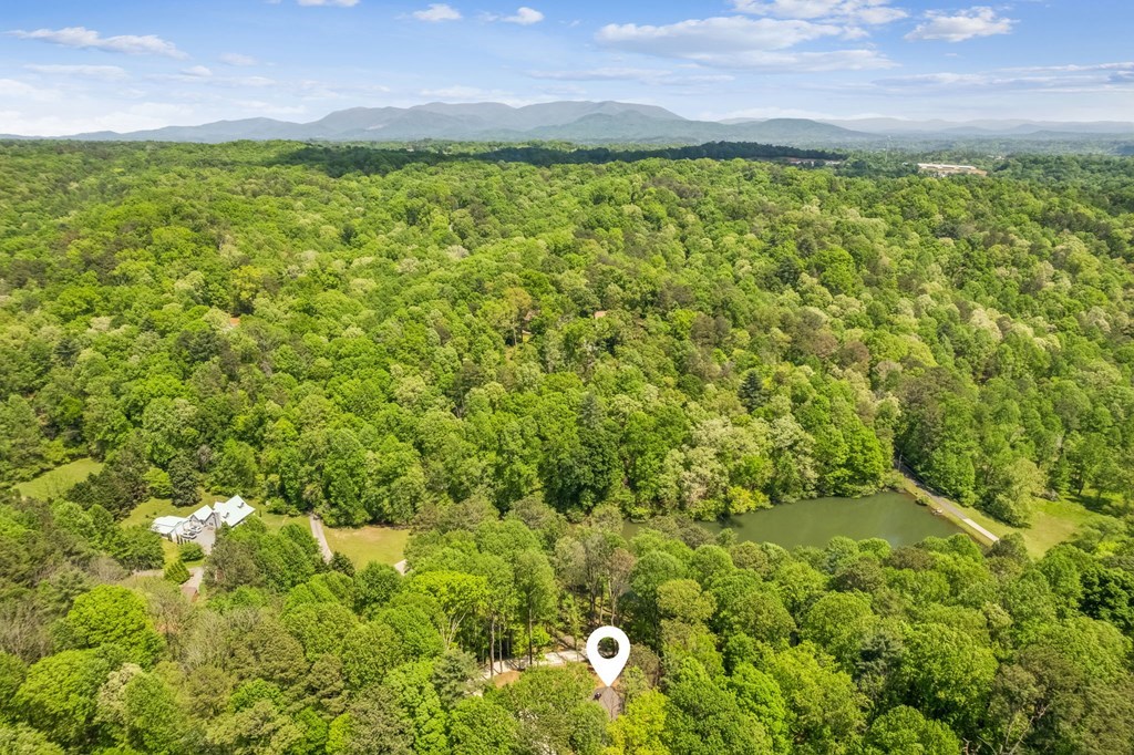 245 Timberwalk Drive