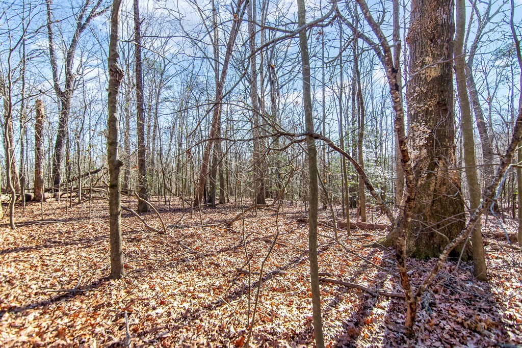 6 Acres Flat Creek River Road