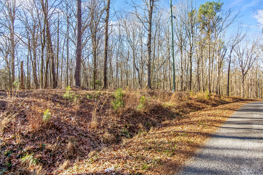 6 Acres Flat Creek River Road