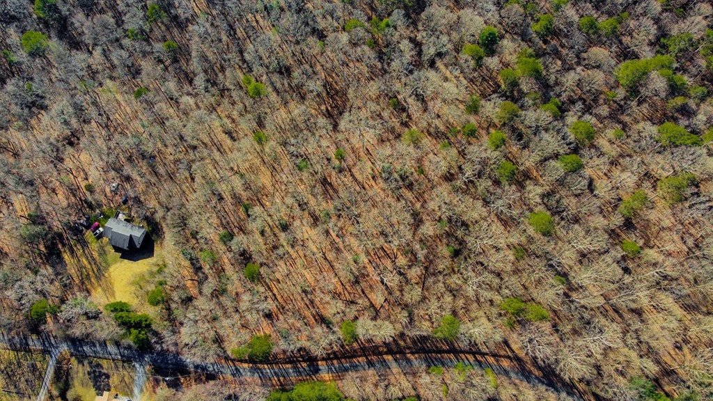 6 Acres Flat Creek River Road