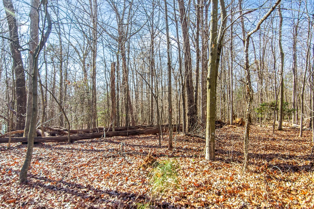 6 Acres Flat Creek River Road