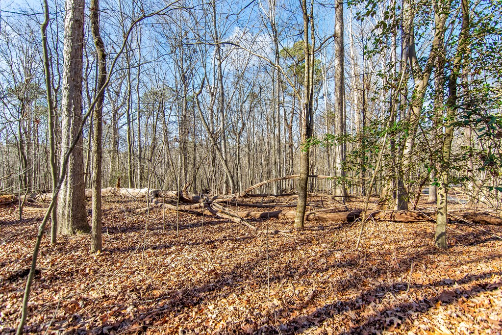 6 Acres Flat Creek River Road