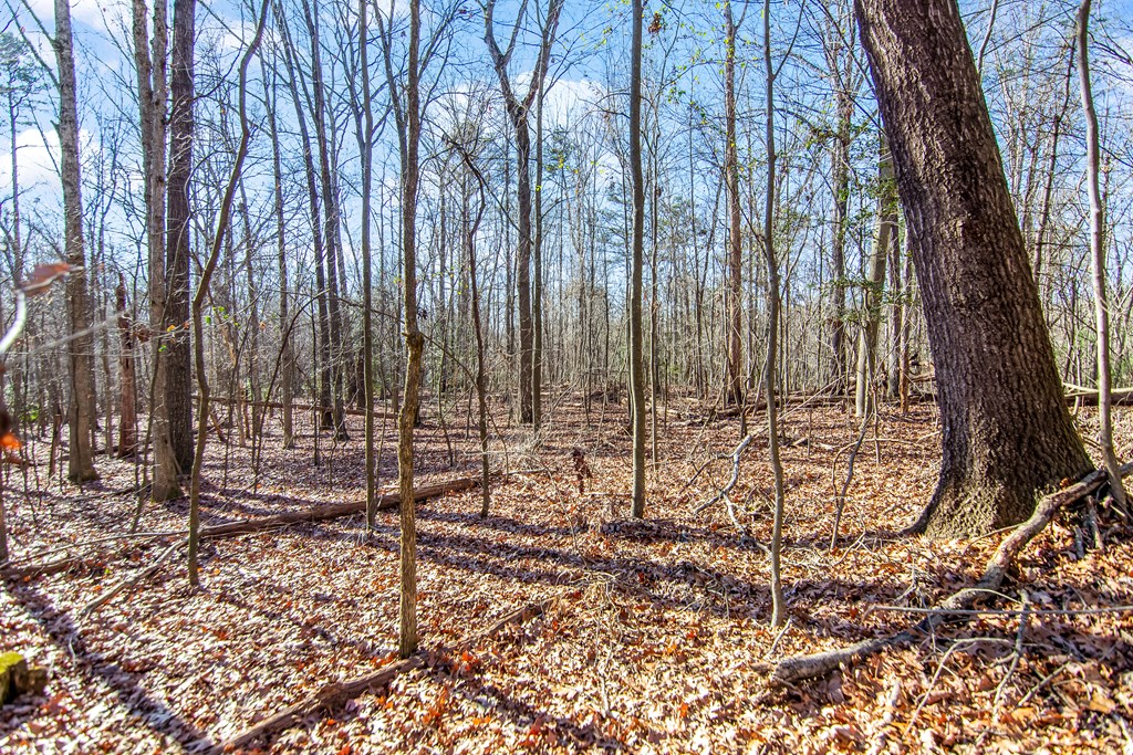 6 Acres Flat Creek River Road