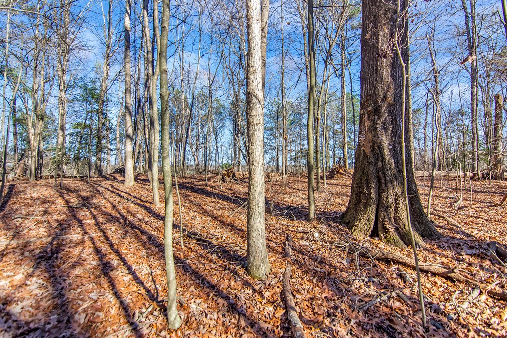 6 Acres Flat Creek River Road