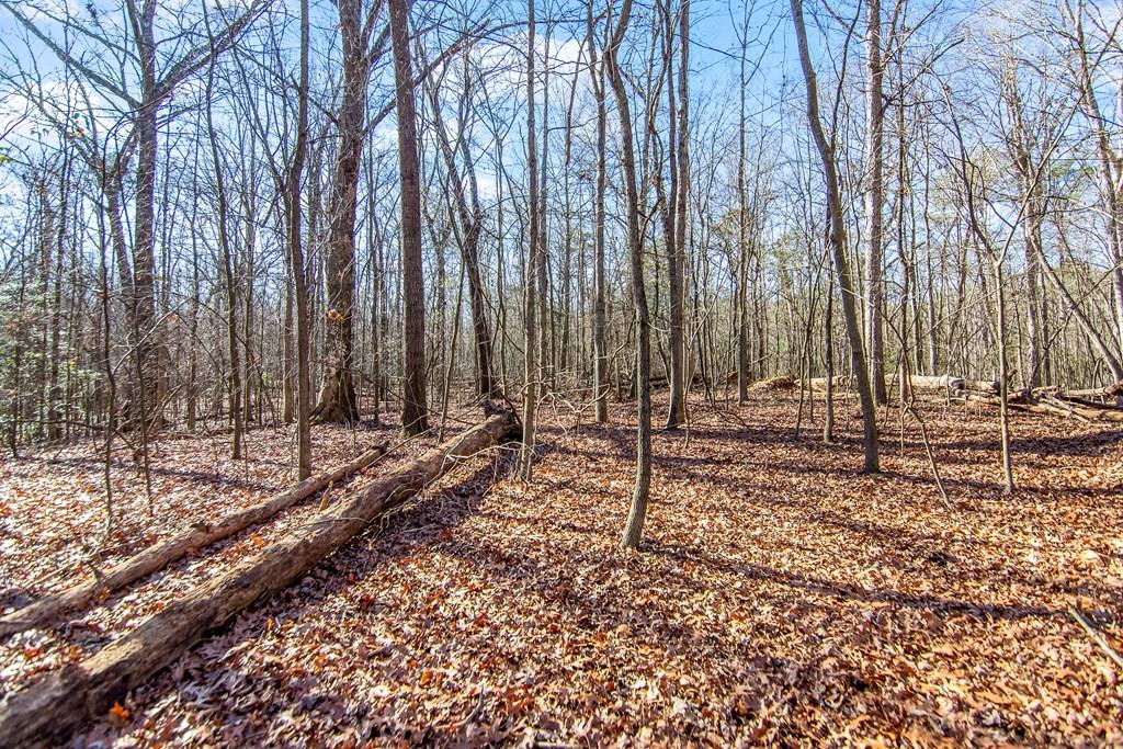 6 Acres Flat Creek River Road