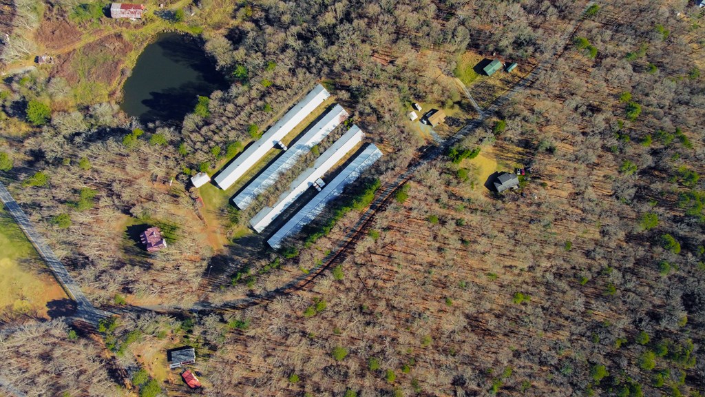 6 Acres Flat Creek River Road