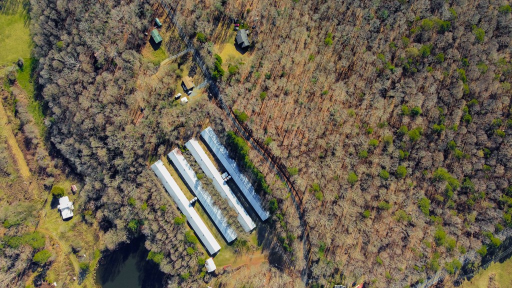 6 Acres Flat Creek River Road