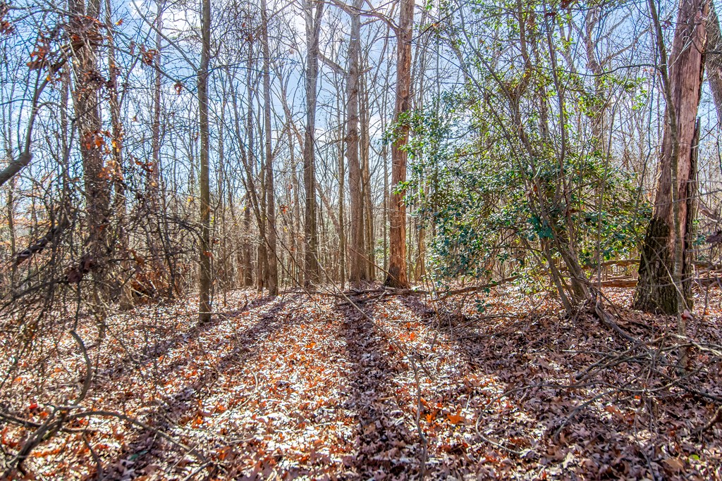 6 Acres Flat Creek River Road