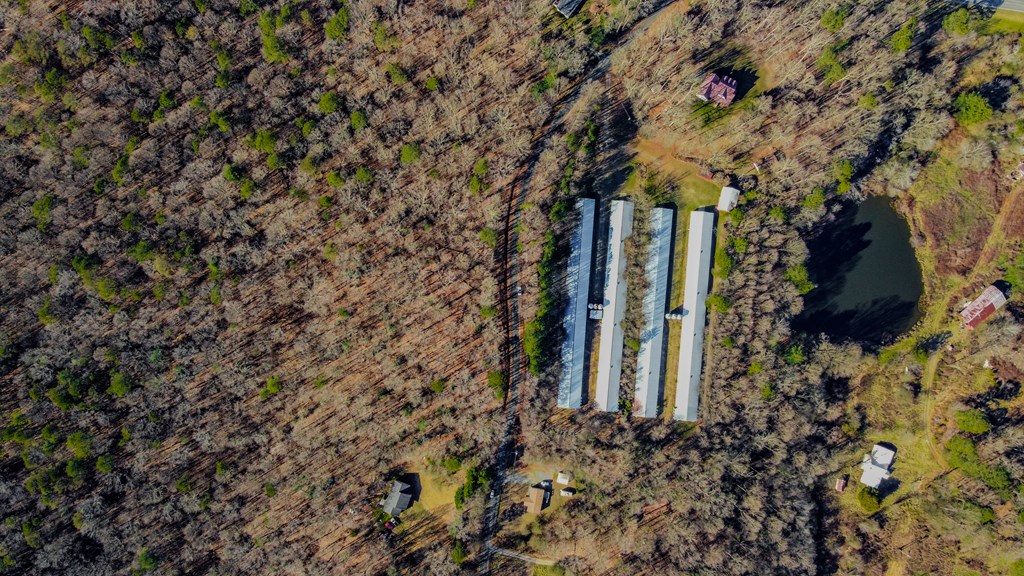 6 Acres Flat Creek River Road