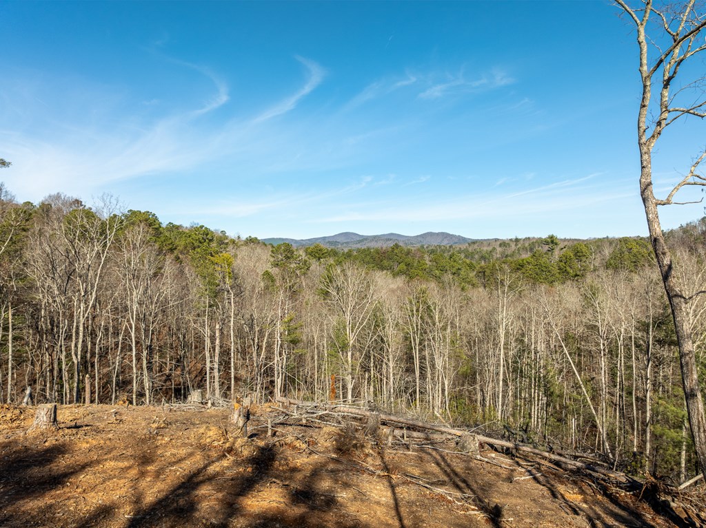 Lot 32R Woodring Branch Road