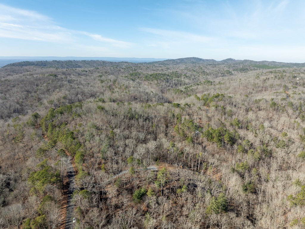 Lot 32R Woodring Branch Road