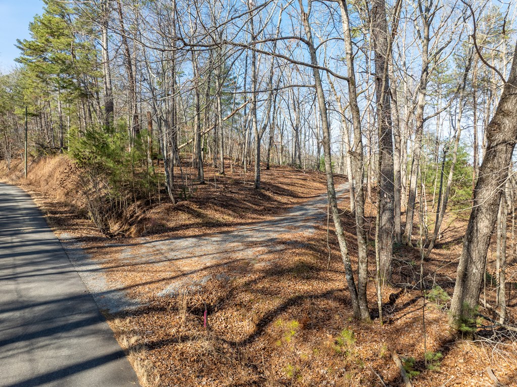 Lot 32R Woodring Branch Road