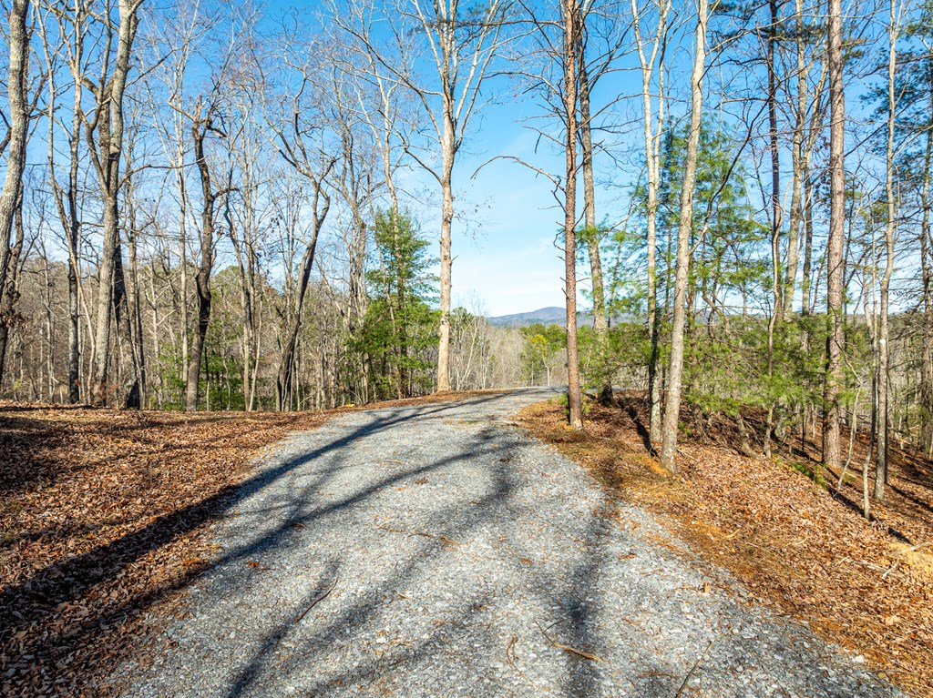 Lot 32R Woodring Branch Road
