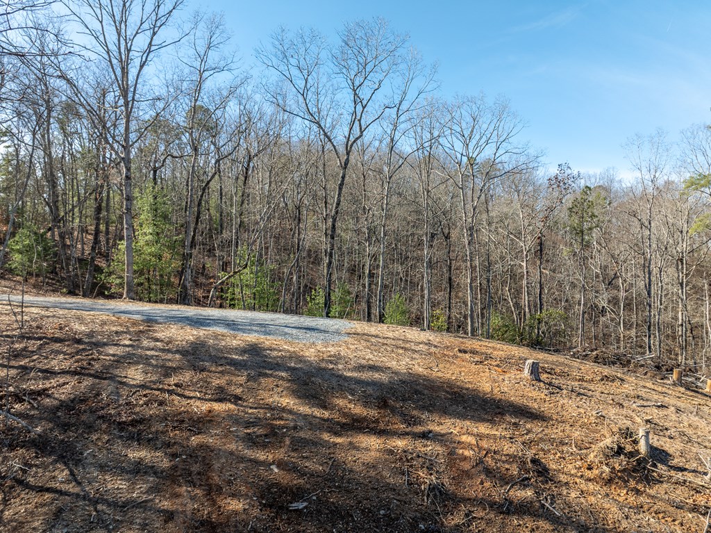 Lot 32R Woodring Branch Road