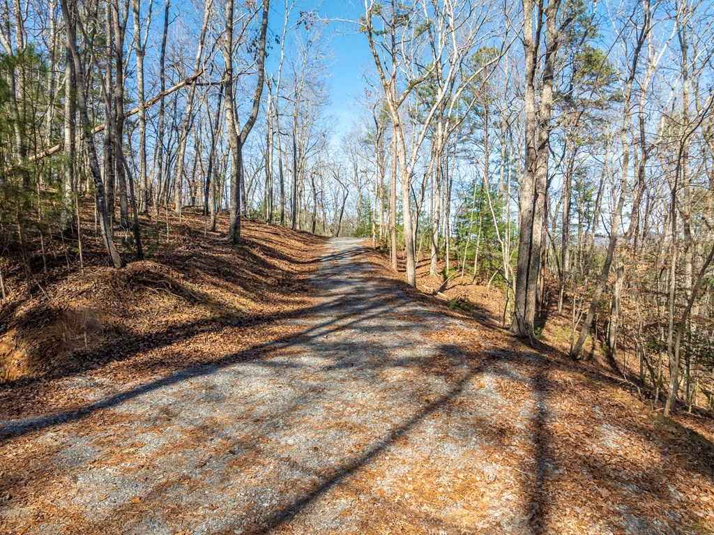 Lot 32R Woodring Branch Road