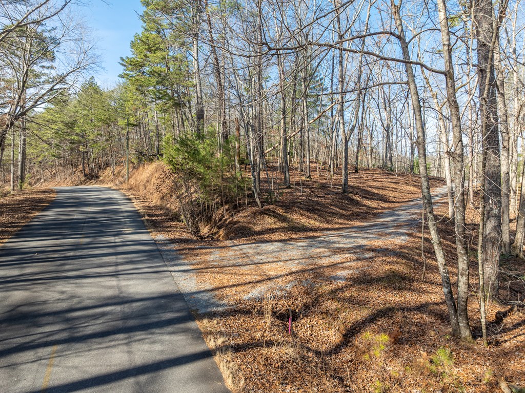 Lot 32R Woodring Branch Road