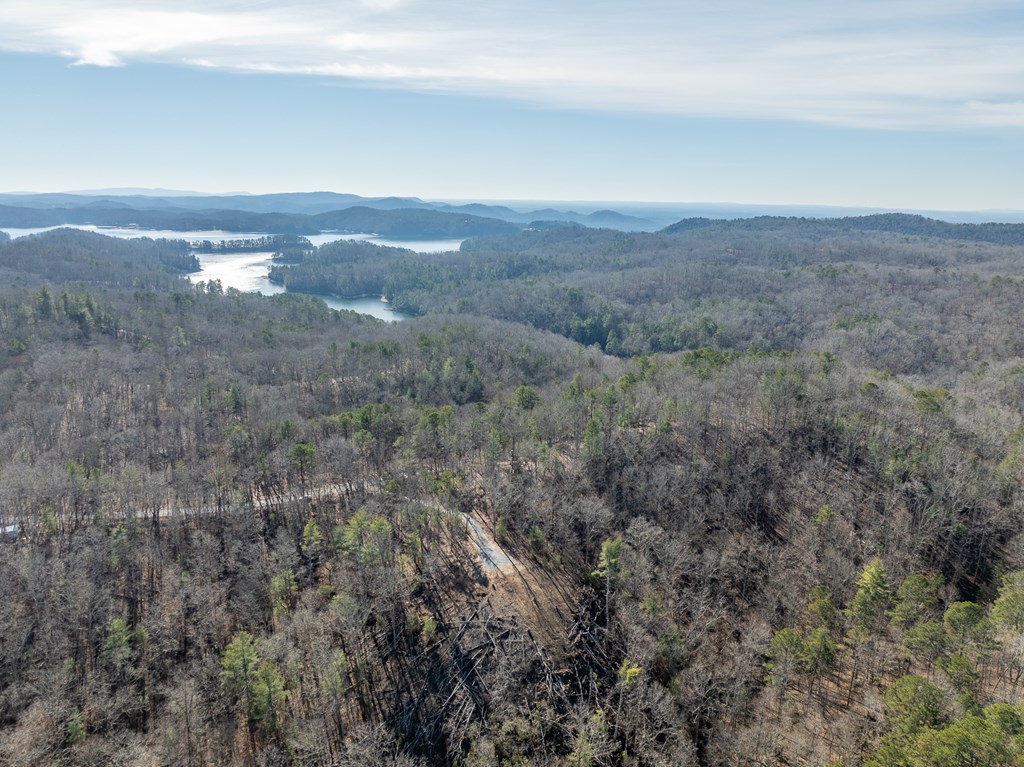 Lot 32R Woodring Branch Road