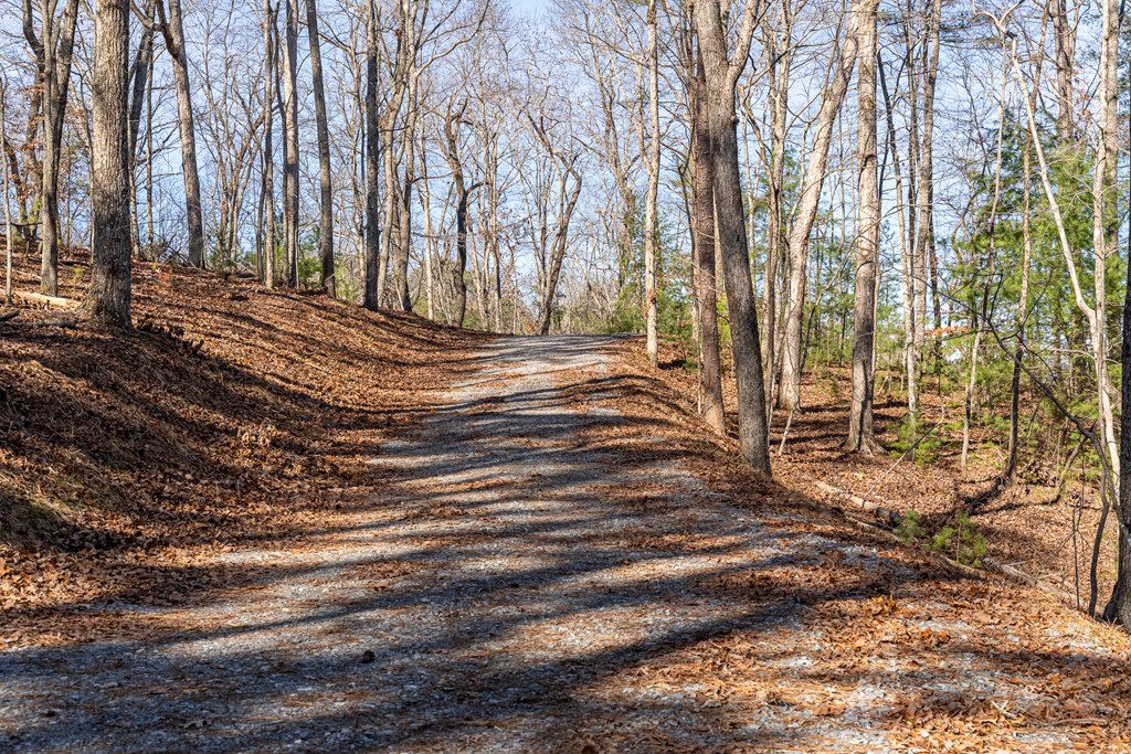 Lot 32R Woodring Branch Road