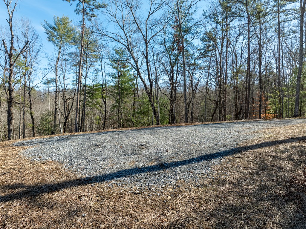 Lot 32R Woodring Branch Road