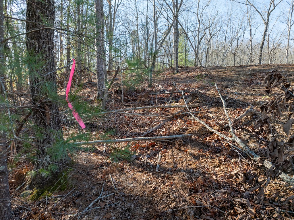 Lot 32R Woodring Branch Road