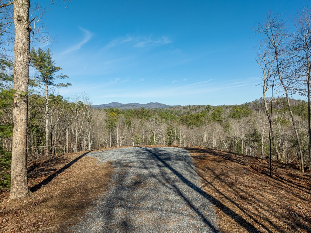 Lot 32R Woodring Branch Road