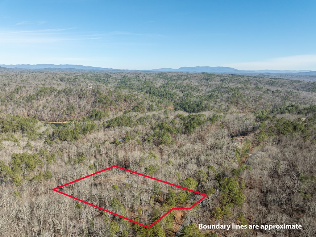 Lot 32R Woodring Branch Road