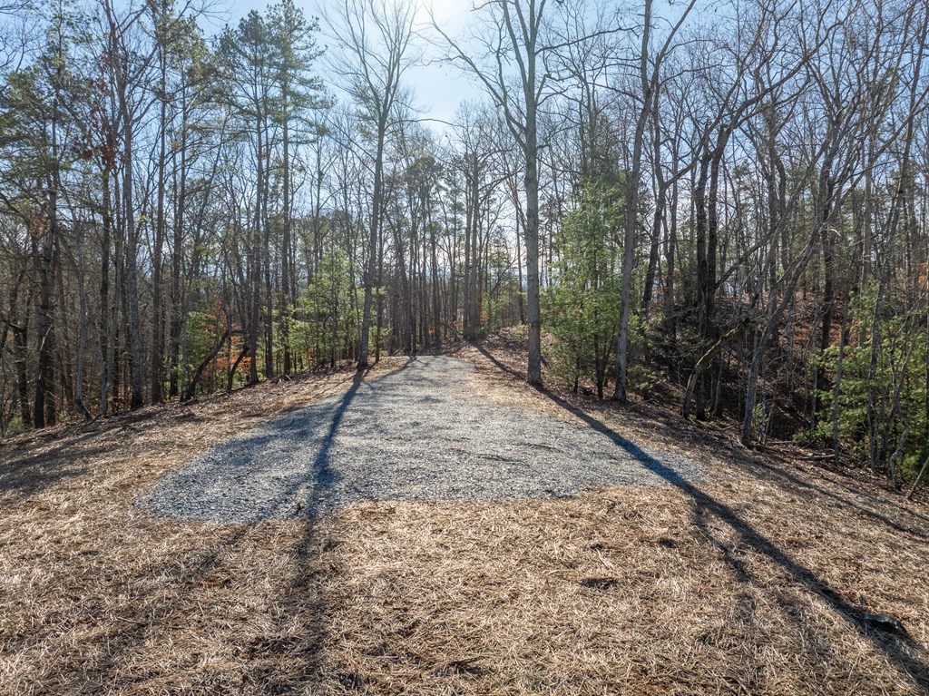 Lot 32R Woodring Branch Road