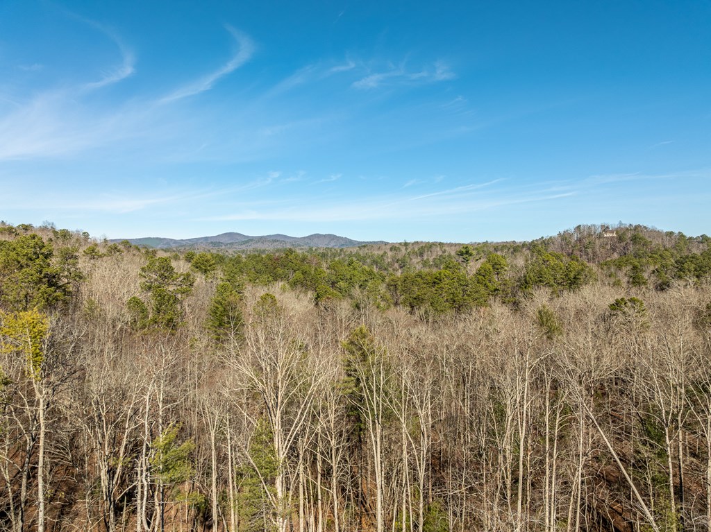 Lot 32R Woodring Branch Road