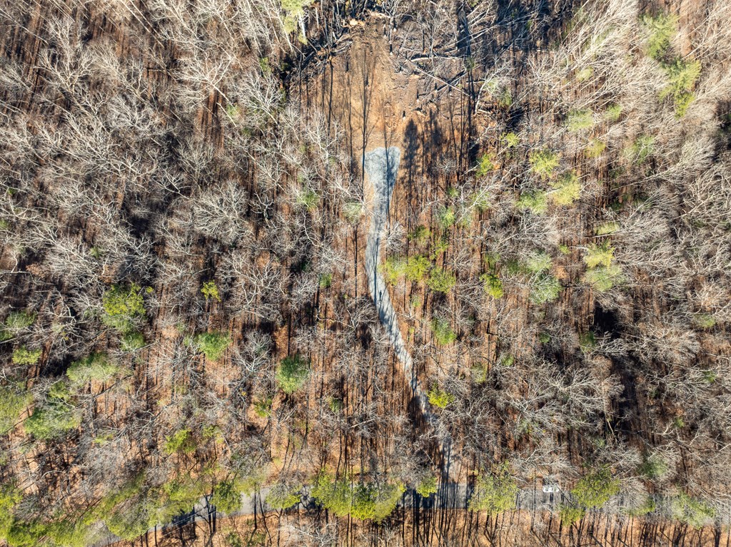 Lot 32R Woodring Branch Road